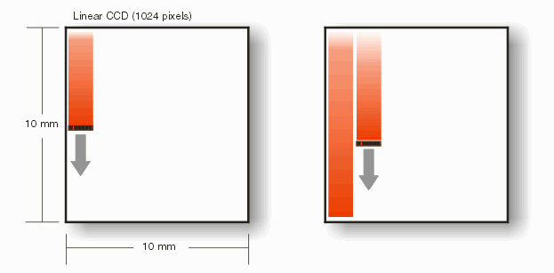 linear 1024 CCD scanning vertically